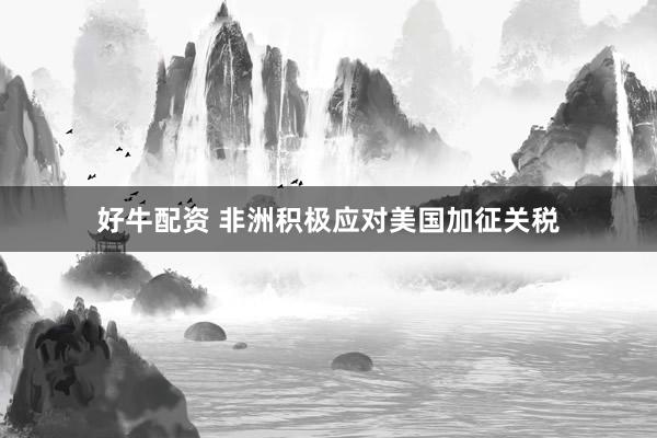好牛配资 非洲积极应对美国加征关税