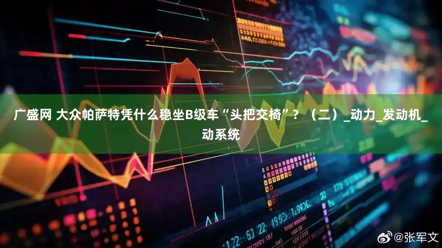 广盛网 大众帕萨特凭什么稳坐B级车“头把交椅”？（二）_动力_发动机_动系统