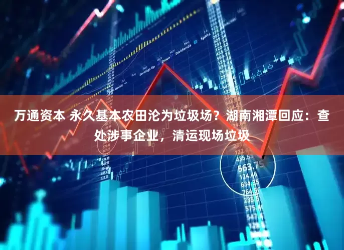 万通资本 永久基本农田沦为垃圾场？湖南湘潭回应：查处涉事企业，清运现场垃圾